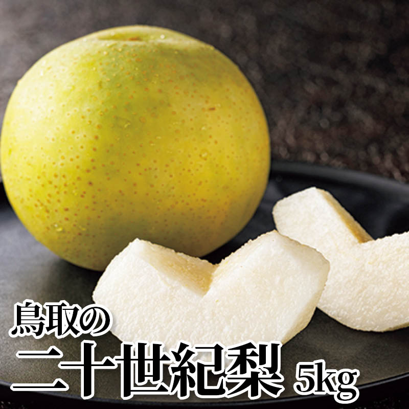 鳥取の二十世紀梨　５ｋｇ 送料込み