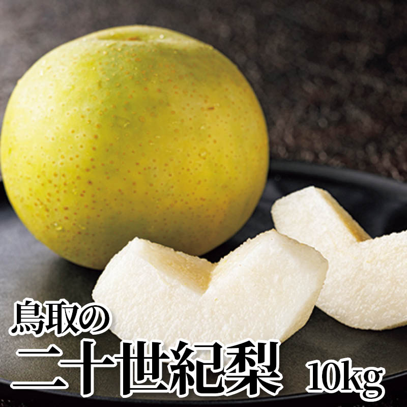 鳥取の二十世紀梨　１０ｋｇ 送料込み