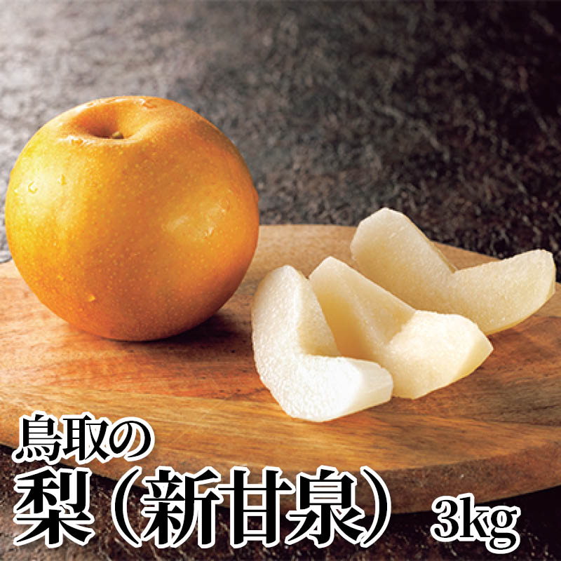 鳥取の梨（新甘泉）　３ｋｇ 送料込み