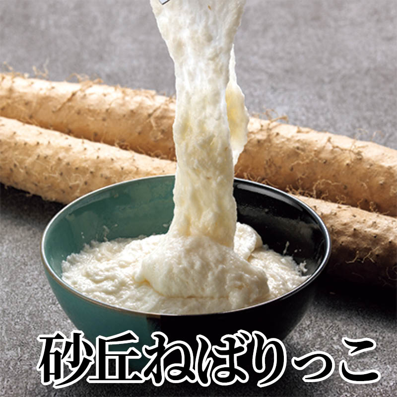 砂丘ねばりっこ 送料込み