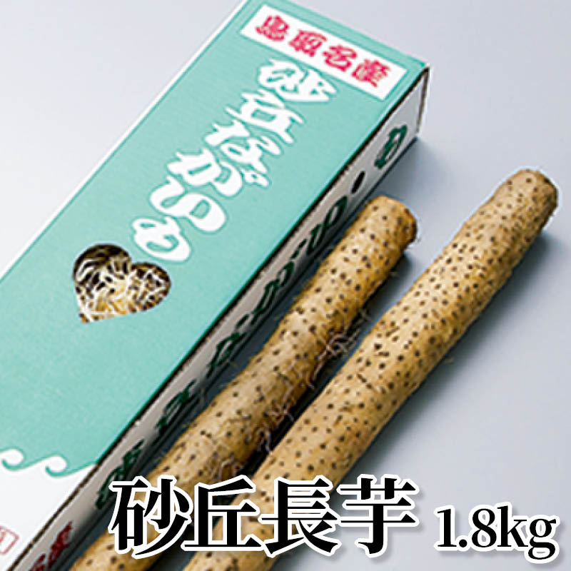 砂丘長芋　１．８ｋｇ 送料込み