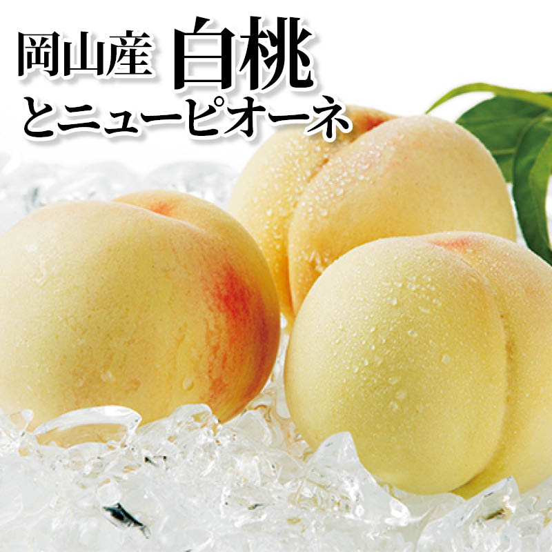 岡山産白桃とニューピオーネ 送料込み