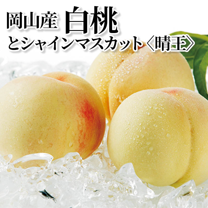 岡山産白桃とシャインマスカット〈晴王〉 送料込み