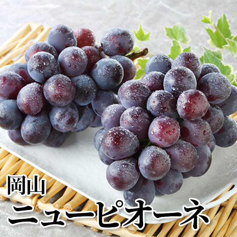 岡山ニューピオーネ 送料込み