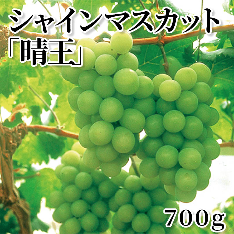 シャインマスカット「晴王」　７００ｇ 送料込み