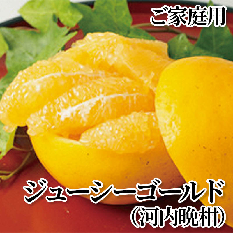 ジューシーゴールド（河内晩柑）　ご家庭用 送料込み