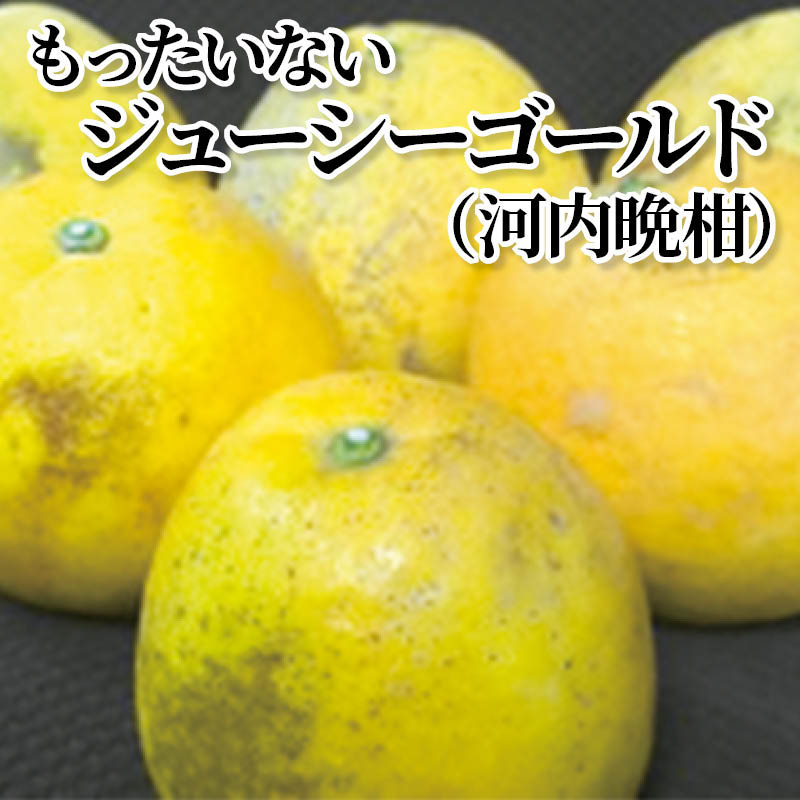 もったいないジューシーゴールド（河内晩柑） 送料込み