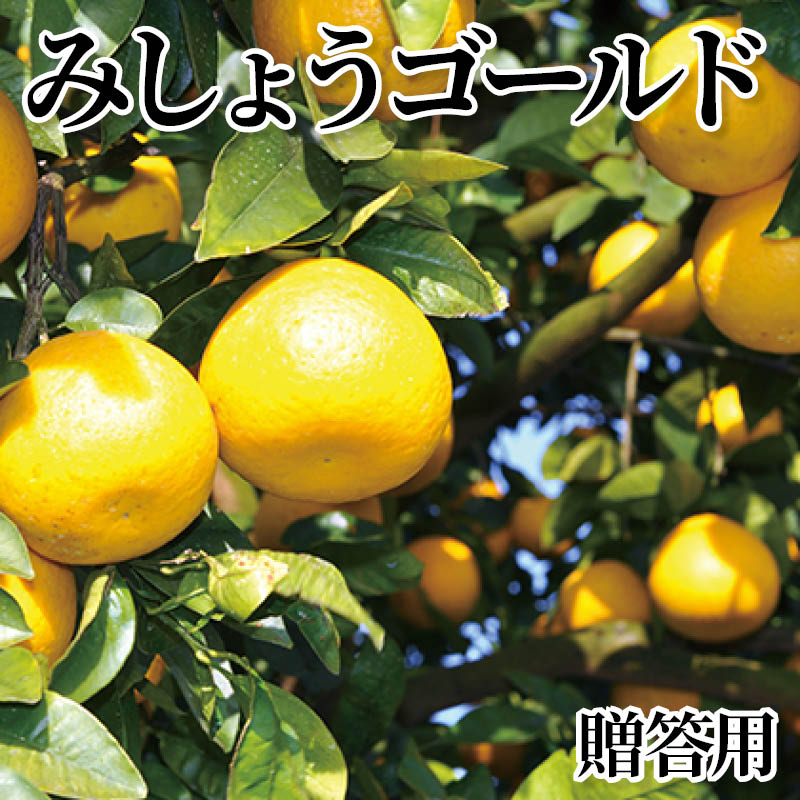 みしょうゴールド　贈答用 送料込み