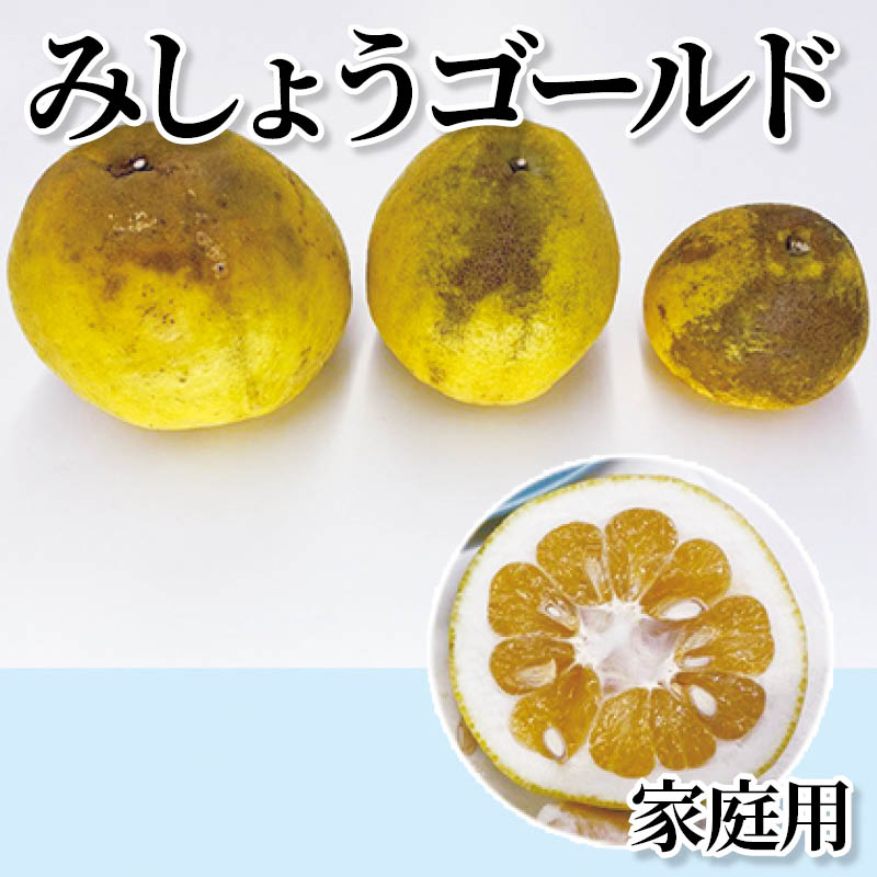 みしょうゴールド　家庭用 送料込み