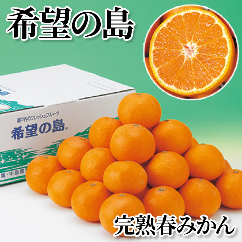 希望の島　完熟春みかん 送料込み
