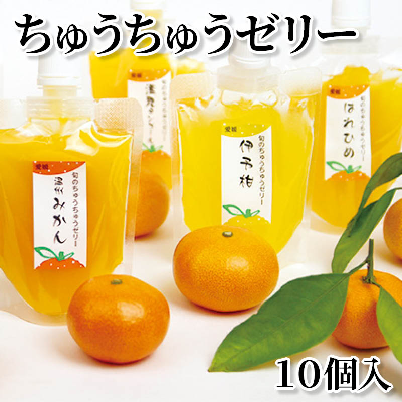 ちゅうちゅうゼリー１０個入 送料込み