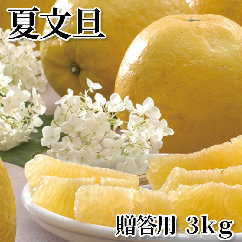 夏文旦　贈答用　３ｋｇ 送料込み