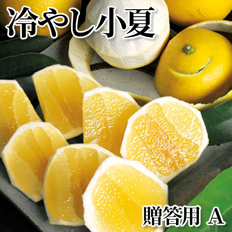 冷やし小夏　贈答用　Ａ 送料込み