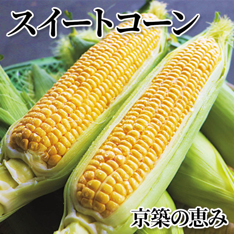 スイートコーン　京築の恵み 送料込み