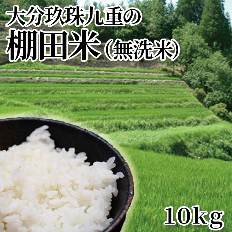 大分玖珠九重の棚田米（無洗米）　１０ｋｇ 送料込み