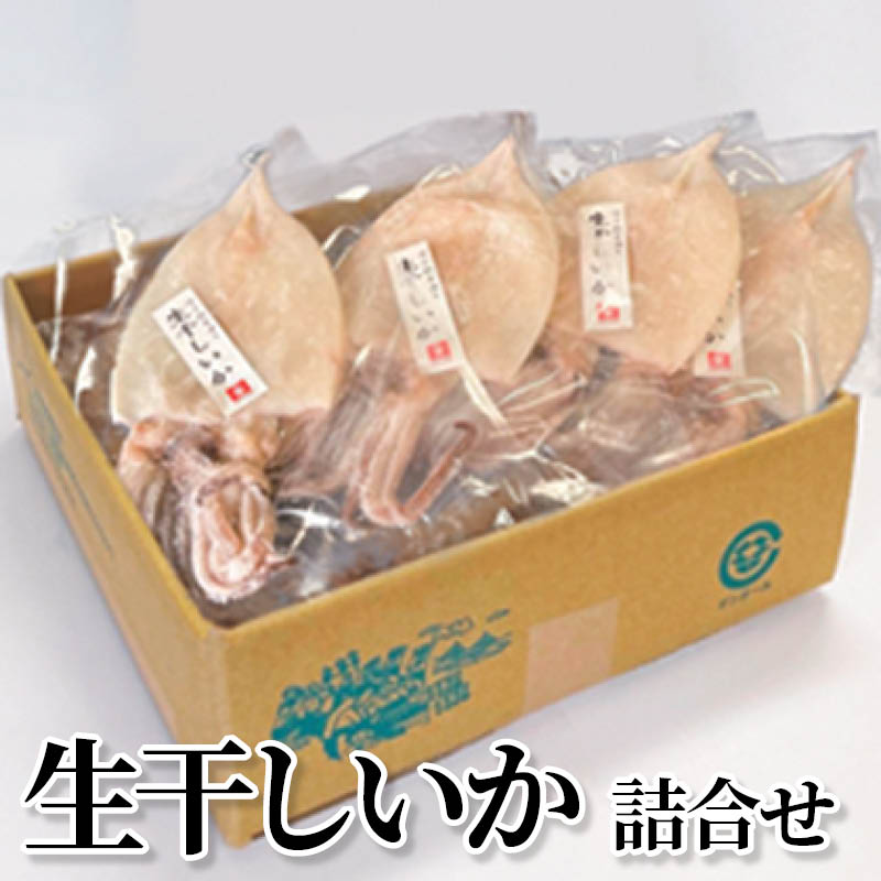 生干しいか詰合せ 送料込み