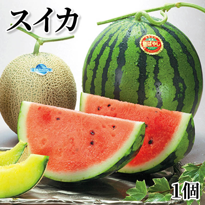 スイカ　１個 送料込み