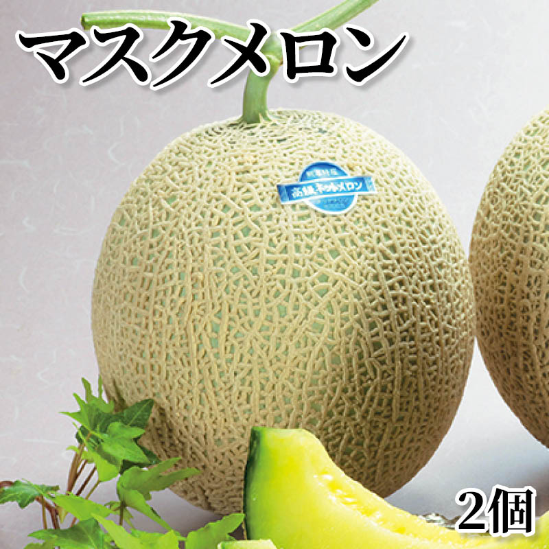マスクメロン　２個 送料込み
