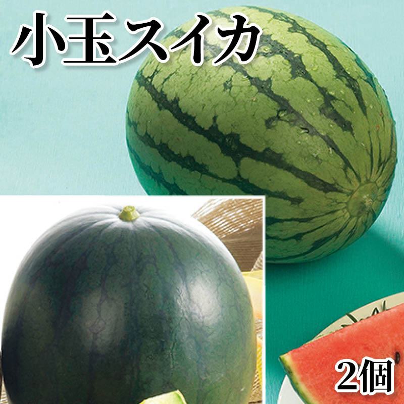 小玉スイカ　２個 送料込み