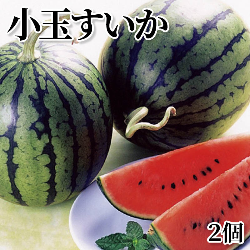 小玉すいか２個 送料込み