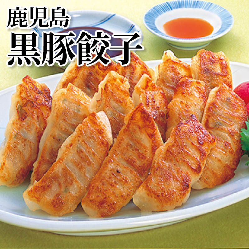 鹿児島黒豚餃子 送料込み