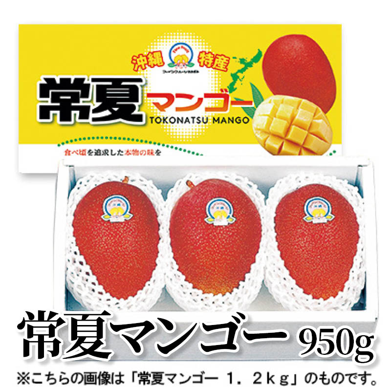 常夏マンゴー　９５０ｇ 送料込み