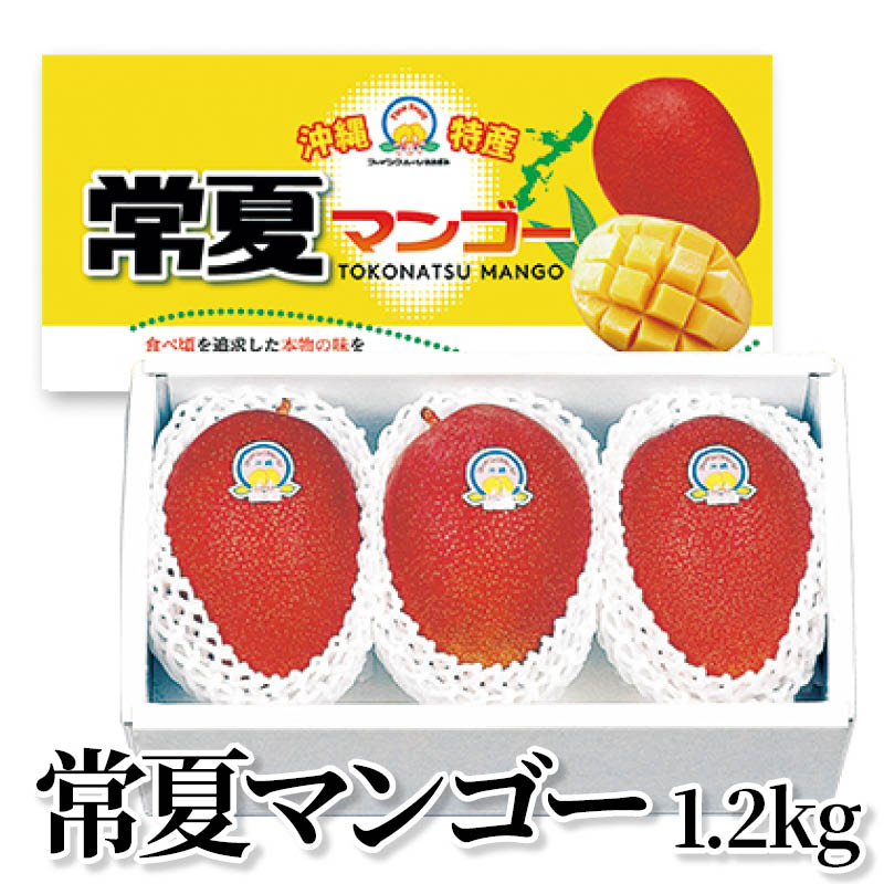 常夏マンゴー　１．２ｋｇ 送料込み