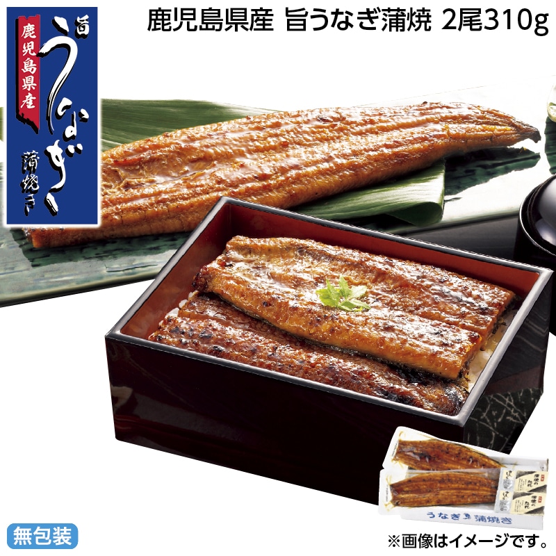 早割！お中元 鹿児島県産　旨うなぎ蒲焼　２尾３１０ｇ 御中元 夏ギフト ギフト 贈答 送料込み