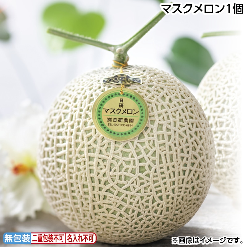 早割！お中元 マスクメロン１個 御中元 夏ギフト ギフト 贈答 送料込み