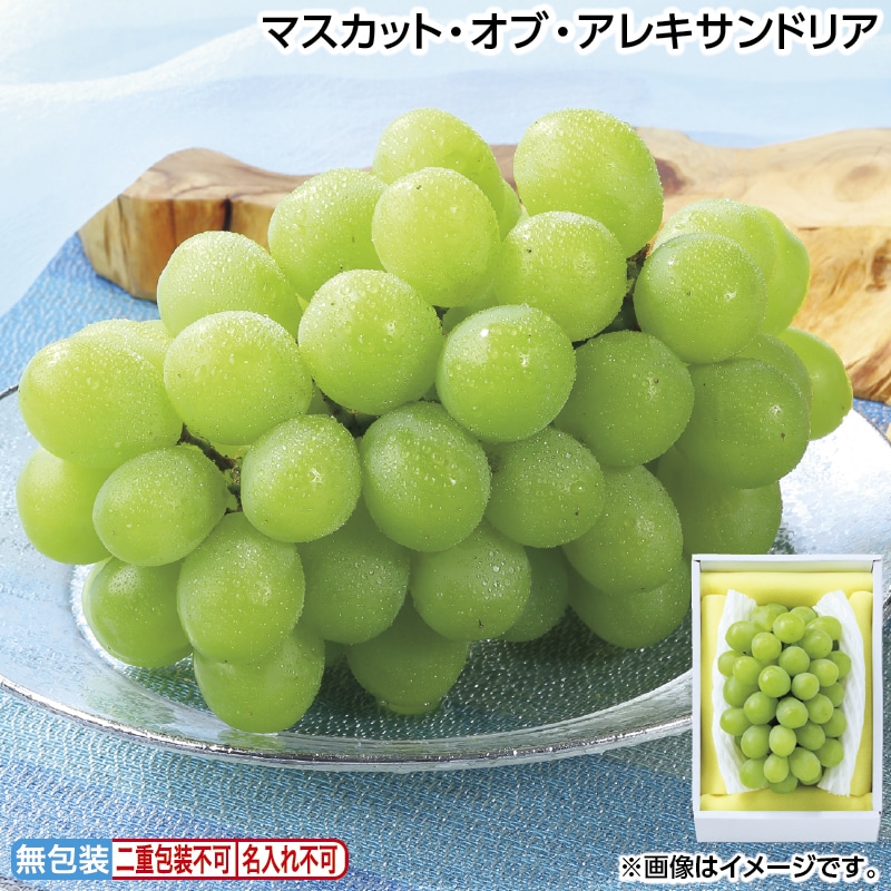 早割！お中元 マスカット・オブ・アレキサンドリア 御中元 夏ギフト ギフト 贈答 送料込み