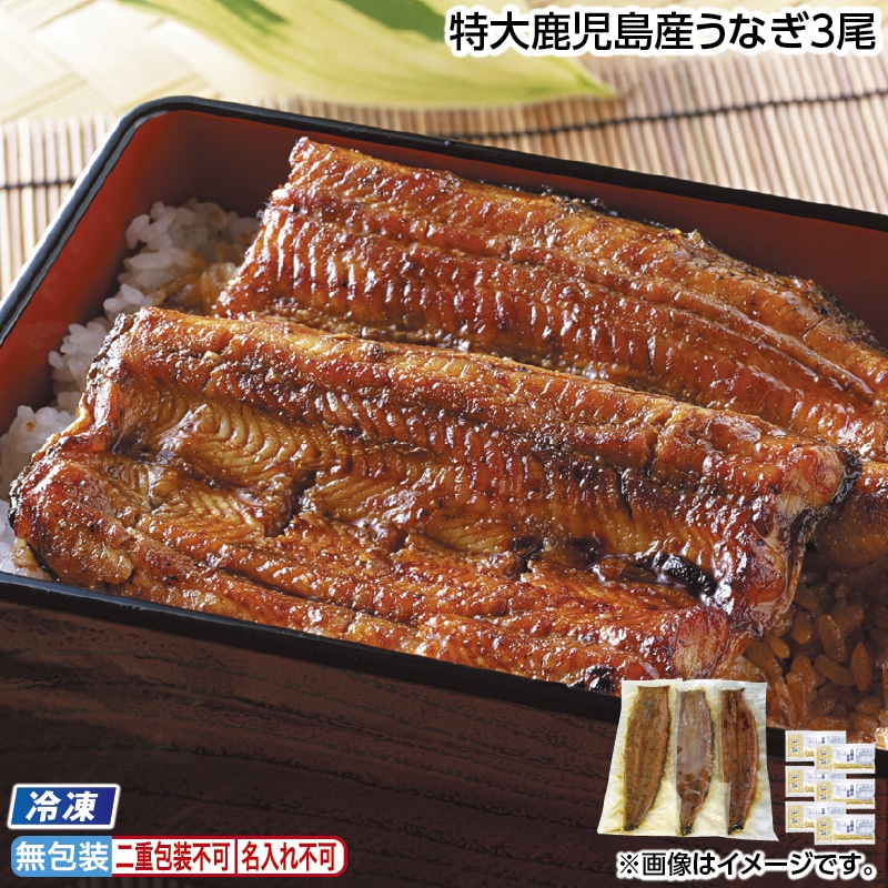 早割！お中元 【冷凍】特大鹿児島産うなぎ３尾 御中元 夏ギフト ギフト 贈答 送料込み