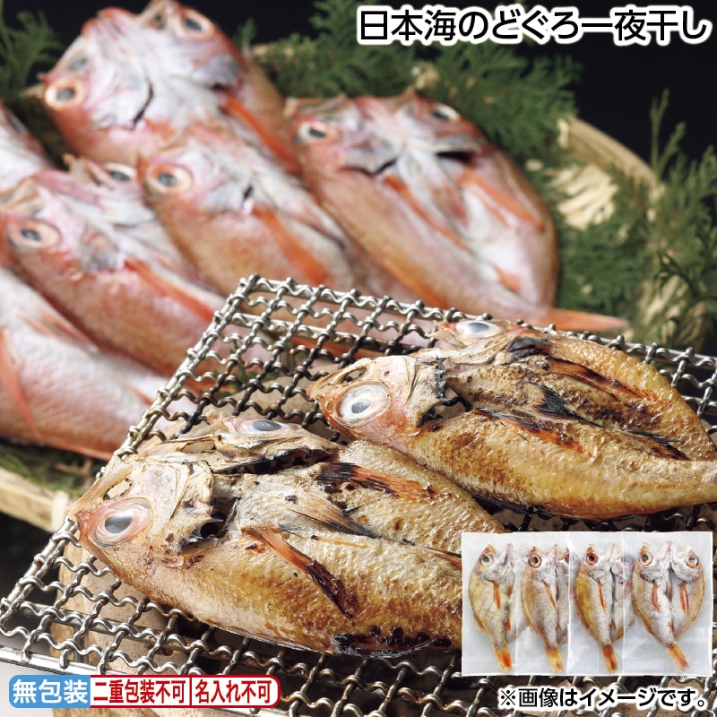 早割！お中元 日本海のどぐろ一夜干し 御中元 夏ギフト ギフト 贈答 送料込み