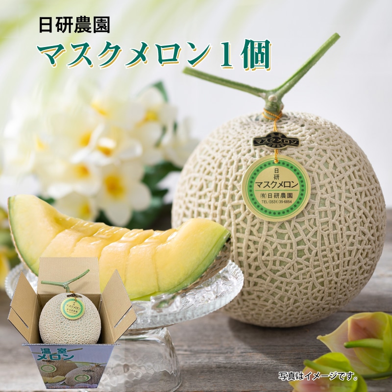 お中元 マスクメロン１個 御中元 夏ギフト ギフト 贈答 送料込み