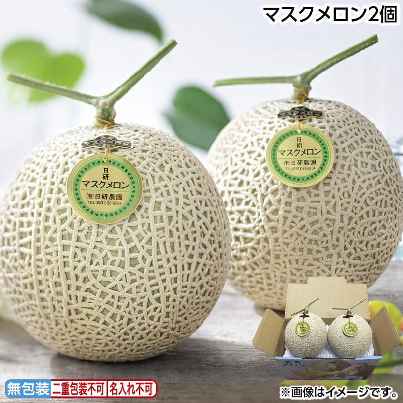 お中元 マスクメロン２個 御中元 夏ギフト ギフト 贈答 送料込み