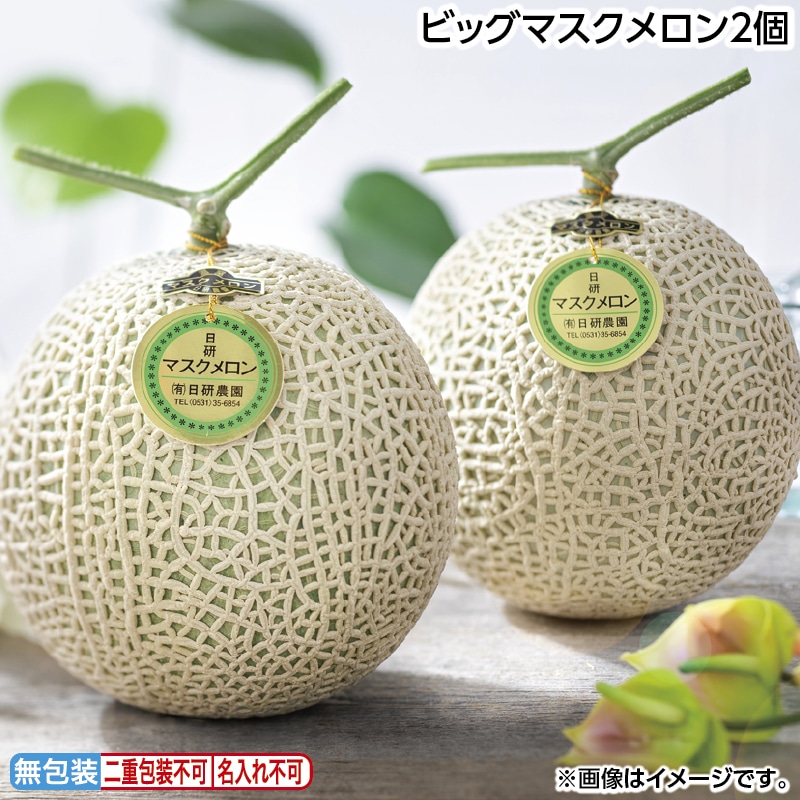 お中元 ビッグマスクメロン２個 御中元 夏ギフト ギフト 贈答 送料込み