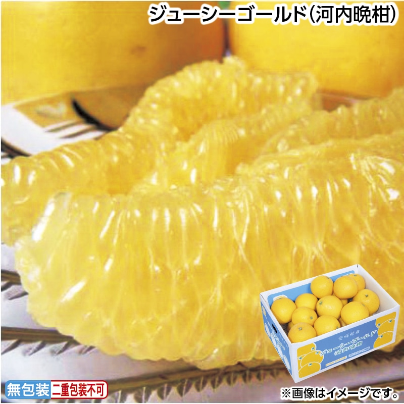 お中元 ジューシーゴールド（河内晩柑） 御中元 夏ギフト ギフト 贈答 送料込み