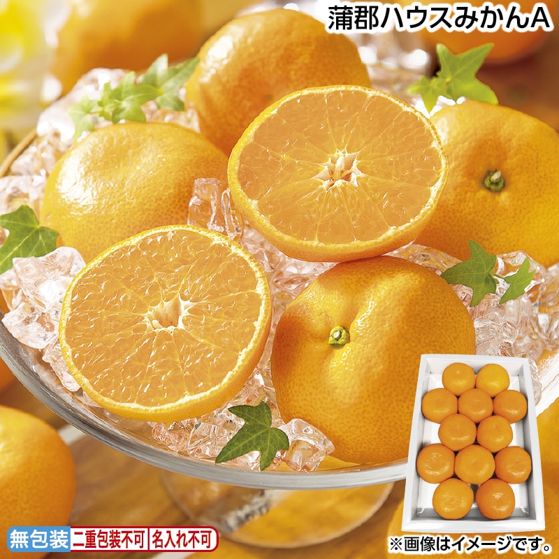 お中元 蒲郡ハウスみかんＡ 御中元 夏ギフト ギフト 贈答 送料込み