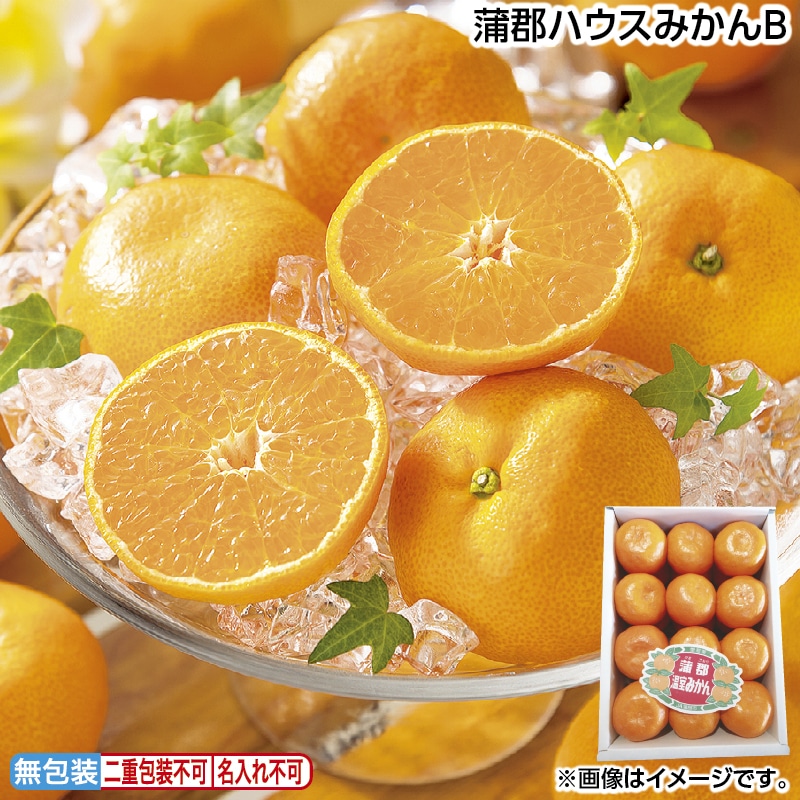 お中元 蒲郡ハウスみかんＢ 御中元 夏ギフト ギフト 贈答 送料込み