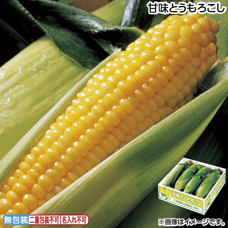 お中元 甘味とうもろこし 御中元 夏ギフト ギフト 贈答 送料込み