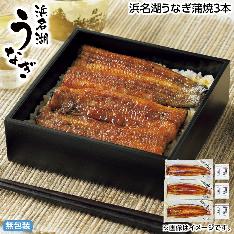 お中元 浜名湖うなぎ蒲焼３本 御中元 夏ギフト ギフト 贈答 送料込み