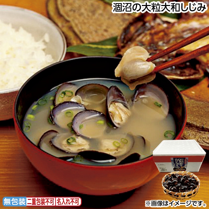お中元 涸沼の大粒大和しじみ 御中元 夏ギフト ギフト 贈答 送料込み