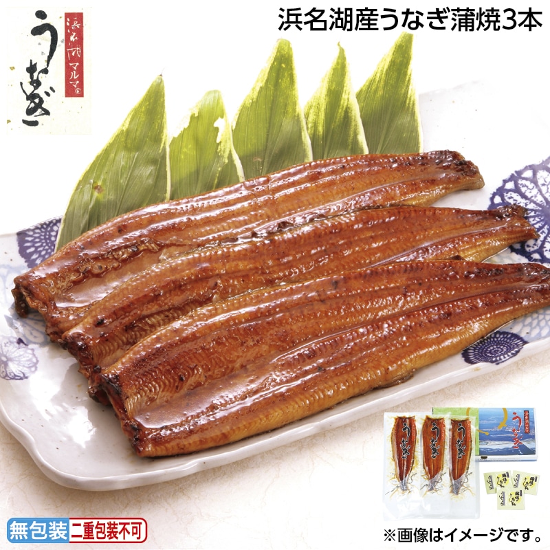 早割！お中元 浜名湖うなぎ蒲焼３本 御中元 夏ギフト ギフト 贈答 送料込み