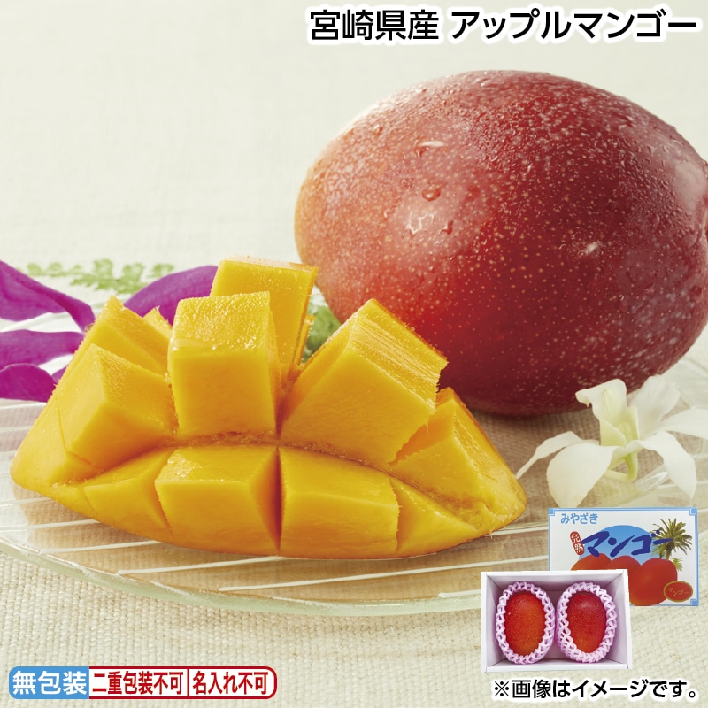 お中元 宮崎県産マンゴー９００ｇ（２個） 御中元 夏ギフト ギフト 贈答 送料込み
