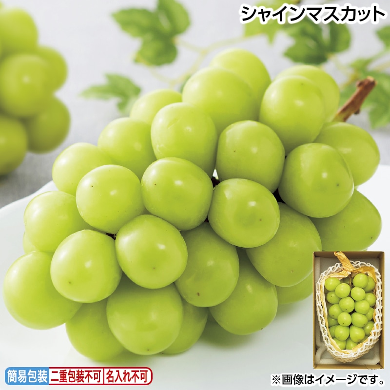 お中元 シャインマスカット 御中元 夏ギフト ギフト 贈答 送料込み