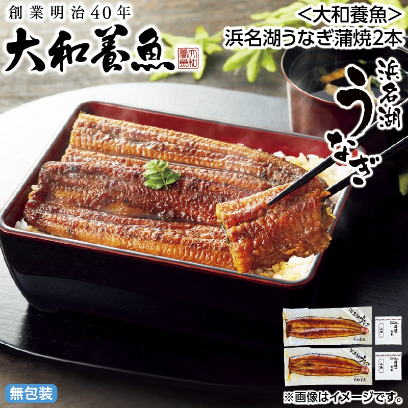 お中元 ＜大和養魚＞浜名湖うなぎ蒲焼２本 御中元 夏ギフト ギフト 贈答 送料込み