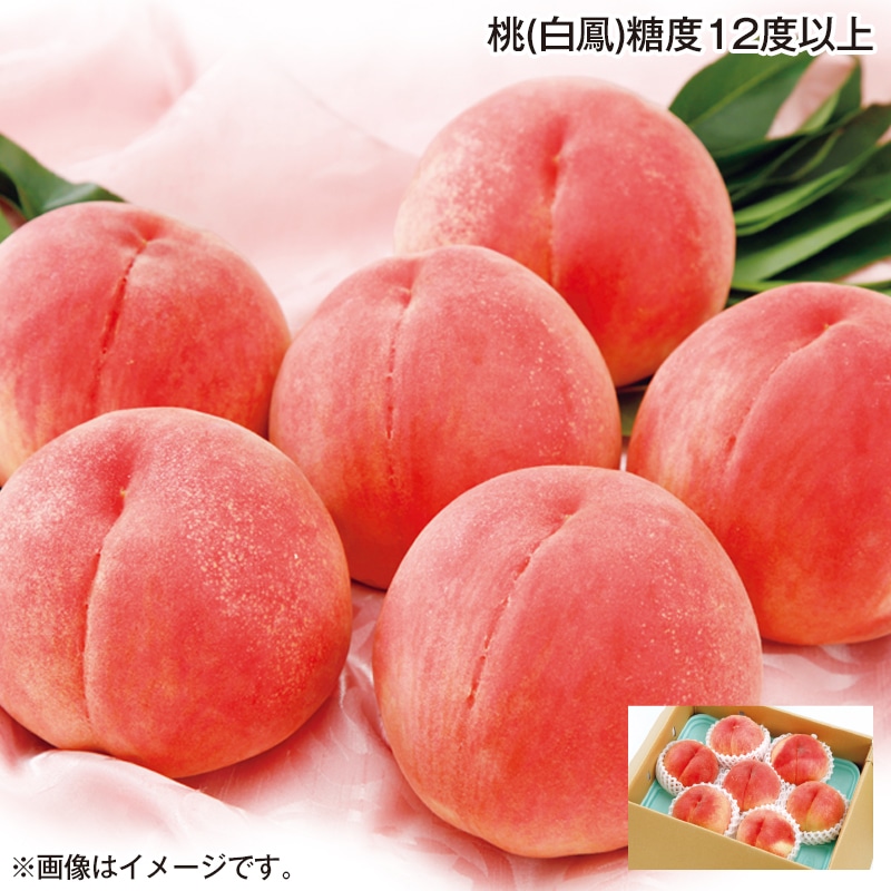 お中元 桃（白鳳）糖度１２度以上 御中元 夏ギフト ギフト 贈答 プレゼント 送料込み