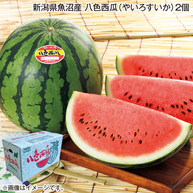お中元 新潟県魚沼産　八色西瓜（やいろすいか）２個 御中元 夏ギフト ギフト 贈答 プレゼント 送料込み