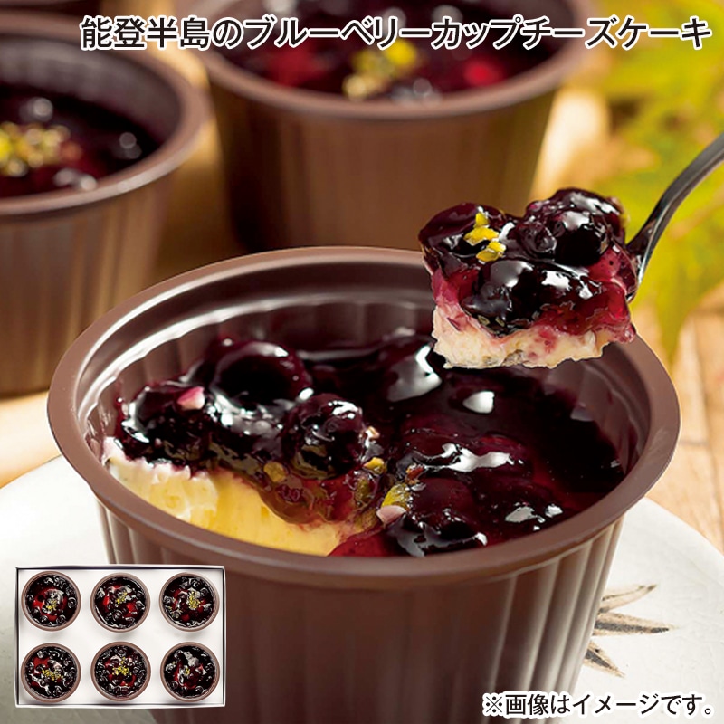 早割！お中元 能登半島のブルーベリーカップチーズケーキ 御中元 夏ギフト ギフト 贈答 送料込み
