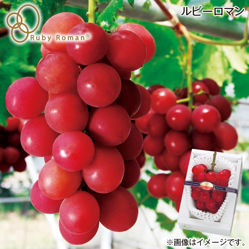 お中元 ルビーロマン 御中元 夏ギフト ギフト 贈答 プレゼント 送料込み