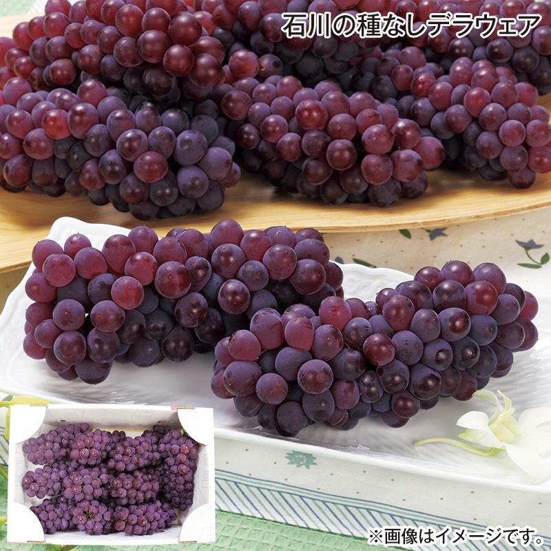 お中元 石川の種なしデラウェア 御中元 夏ギフト ギフト 贈答 プレゼント 送料込み